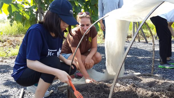 IB Environmental Systems and Societies (ESS) trip connecting with local farming community and learning farming techniques