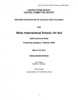 2013 WIS VC Report