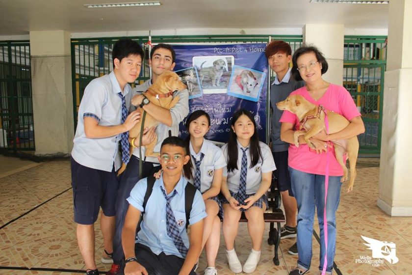Animal Shelter & Rescue Appreciation Week