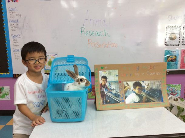 Kindergarten 2 Animal Research Project - International School Bangkok |  American International School - Wells