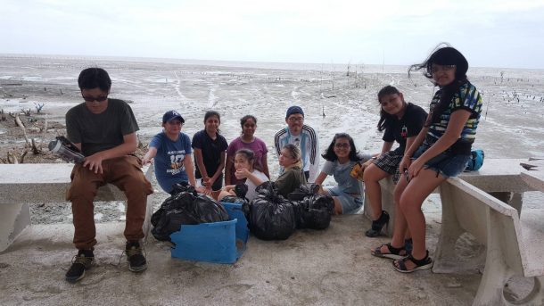 Mangrove cleaning