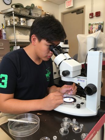 University of Hawaii summer science program