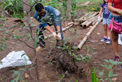 World Clean Day