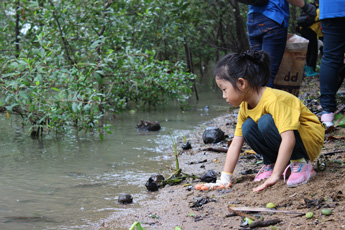 World Clean Day