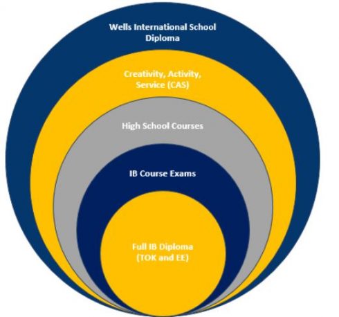 IB Diploma Programme