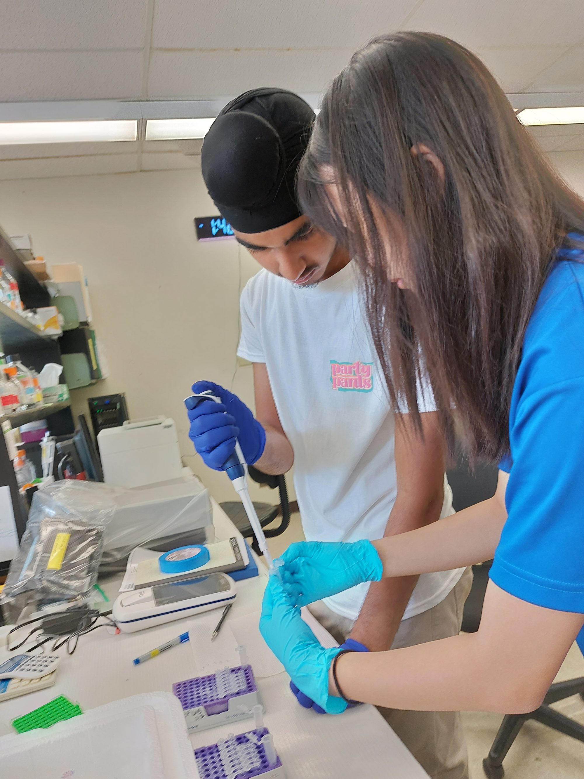 University of Hawaii Summer Science Program | International School ...