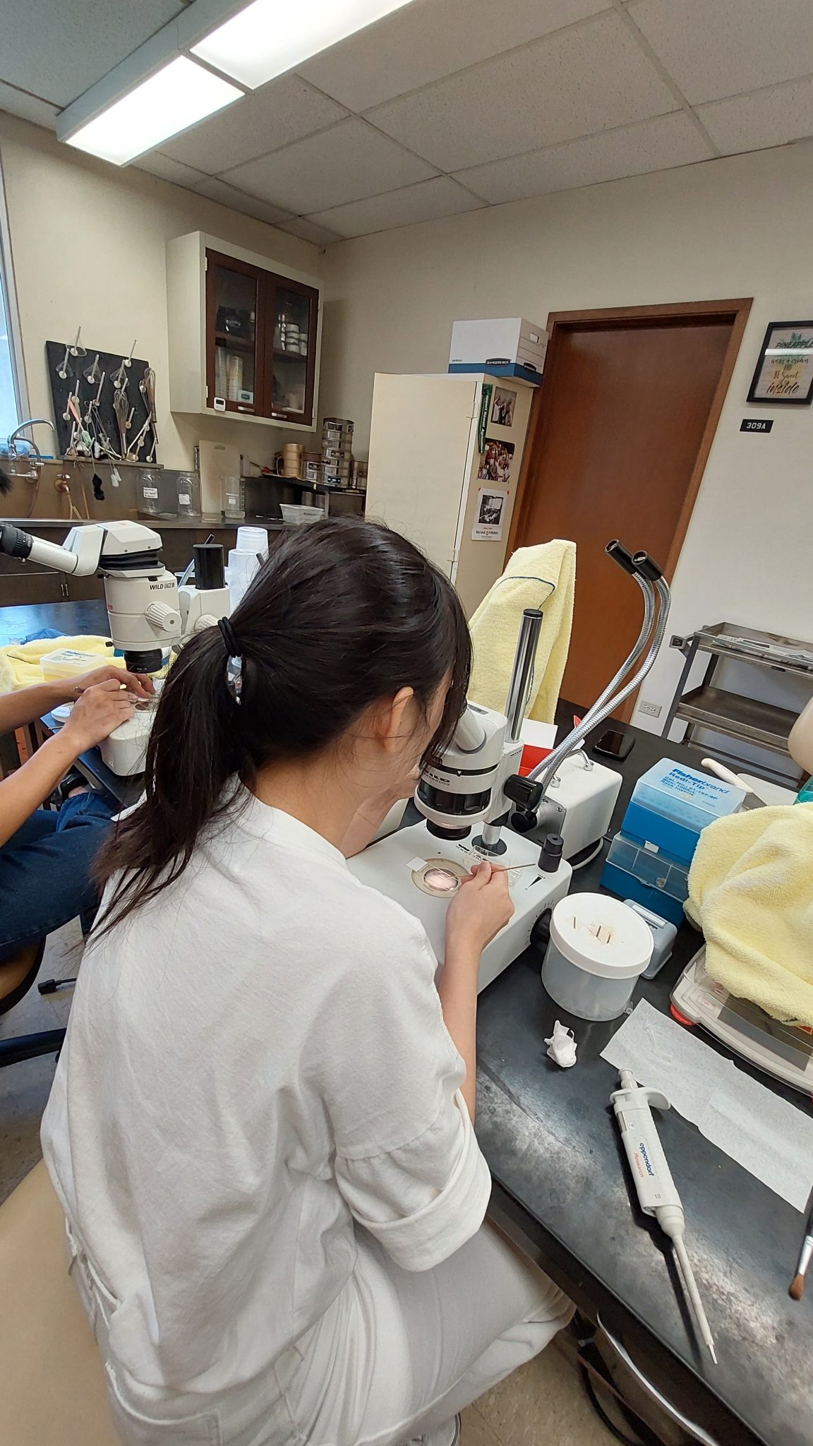 University of Hawaii Summer Science Program
