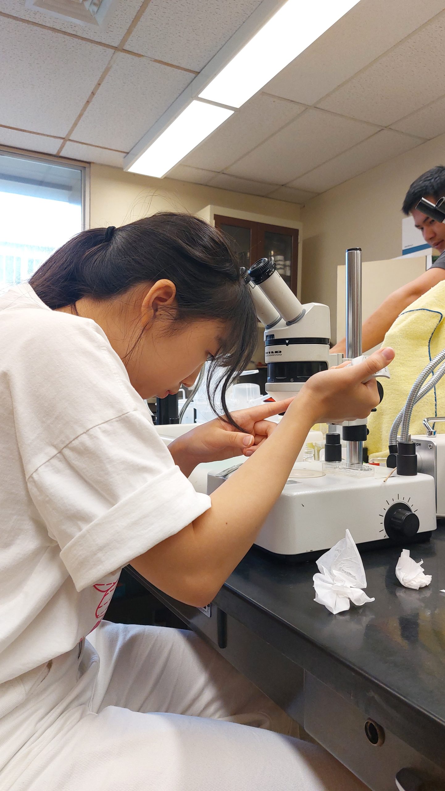 University of Hawaii Summer Science Program | International School ...