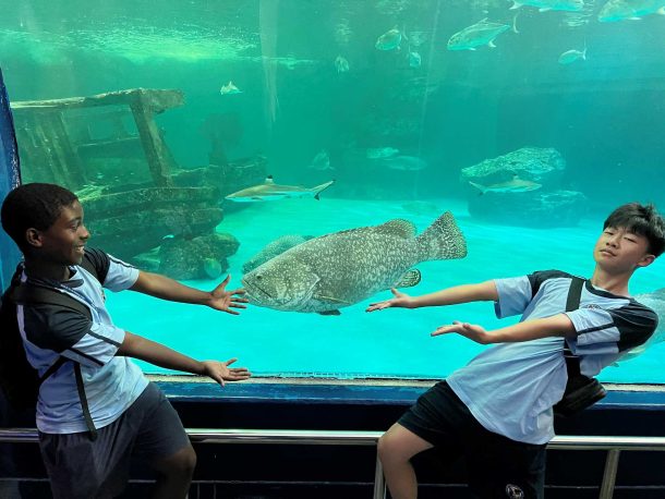 Bangsaen Aquarium ศูนย์เรียนรู้โลกใต้ทะเลบางแสน