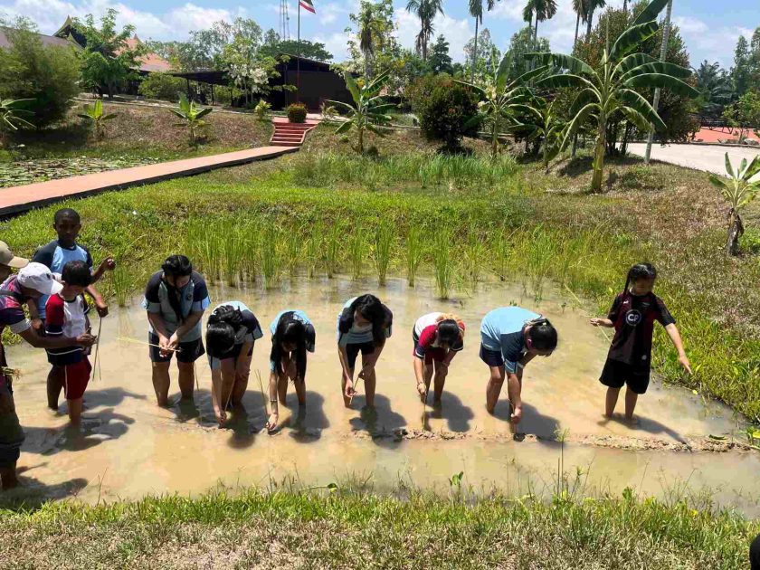 Wells Chonburi Students go on a Suan Thai Field Trip